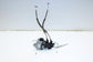 2018-2023 Kia Stinger GT1 Front Left Side Door Lock Latch Actuator 81310J5000 - Alshned Auto Parts