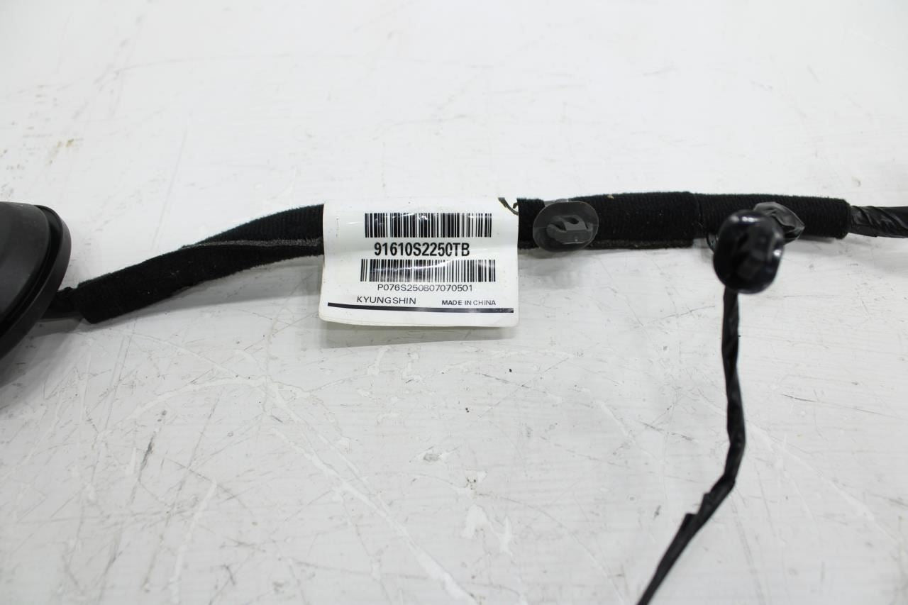 2019-2020 Hyundai Santa Fe Front Right Passenger Door Wire Harness 91610-S2250 - Alshned Auto Parts