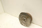 2014-2021 Jeep Grand Cherokee 3.6L Auto Transmission Torque Converter 68234051AA - Alshned Auto Parts