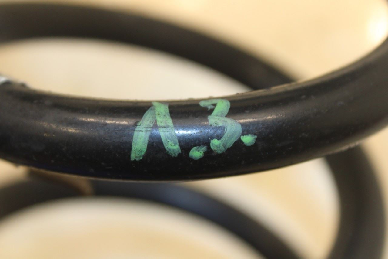 17-22 Alfa Romeo Giulia Ti AWD Rear Right and LH Side Suspension Coil Spring Set - Alshned Auto Parts