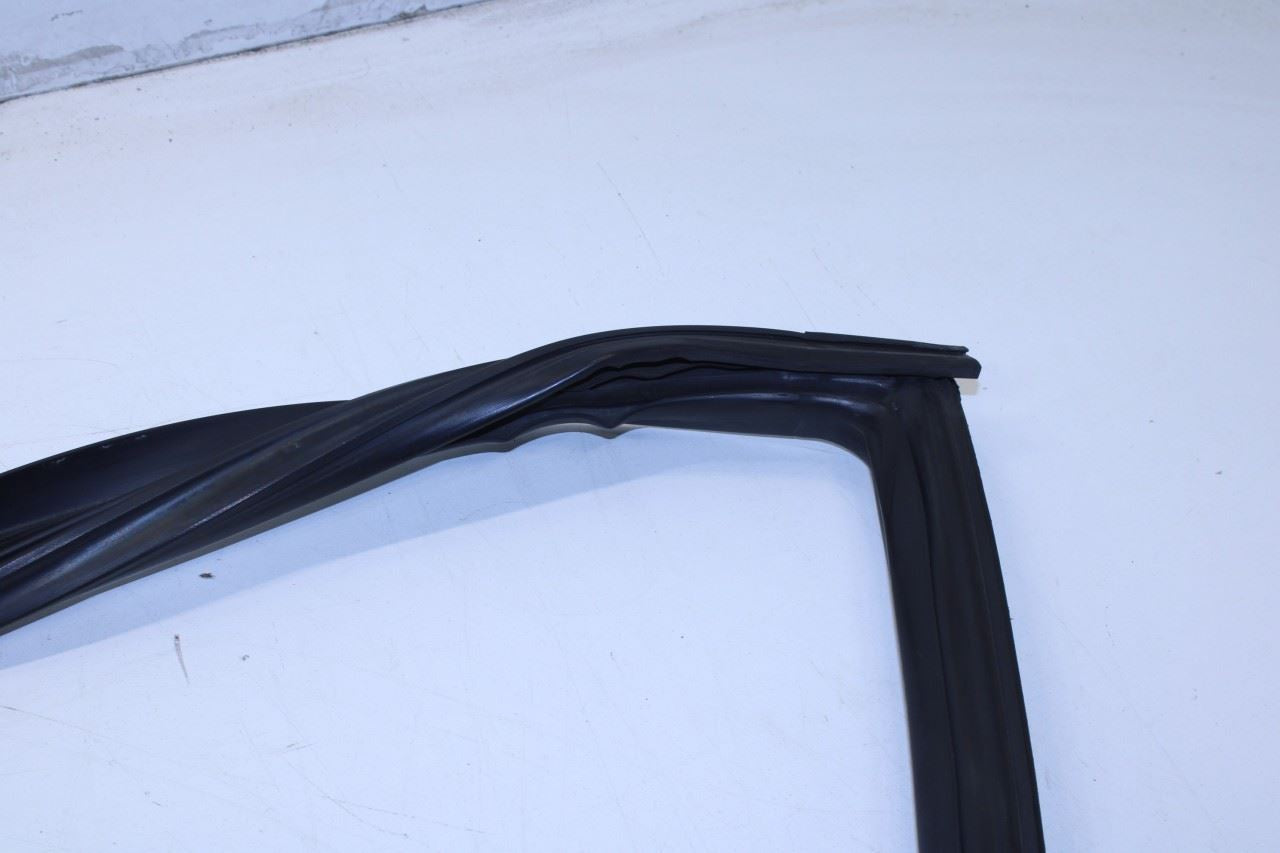 2008-2023 Dodge Challenger Front Left Door Run Channel w/ Weatherstrip On Body - Alshned Auto Parts