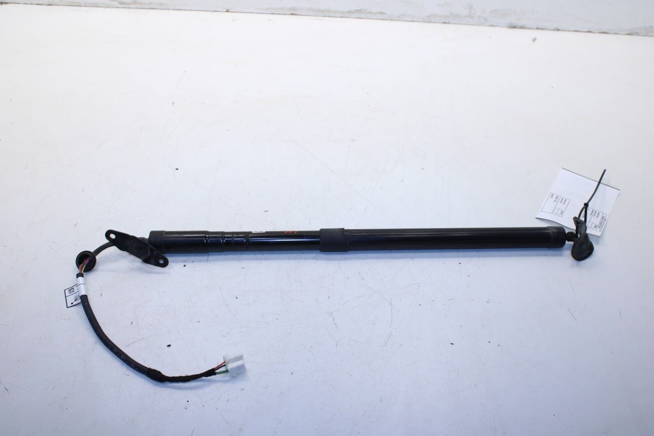 2014-2020 Acura MDX Advance Rear Left Liftgate Support Shock Strut 74961-TZ5-325 - Alshned Auto Parts