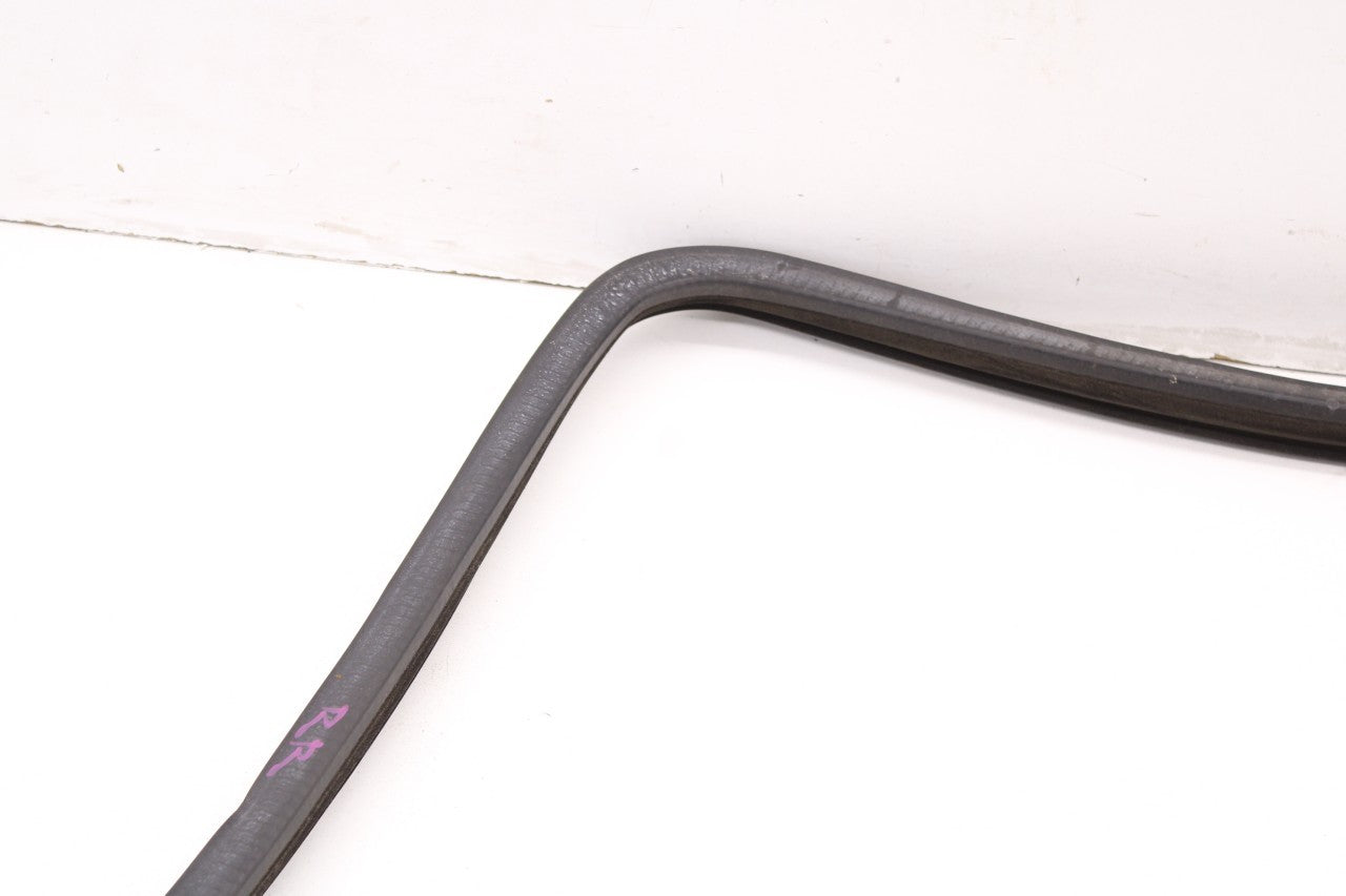 99-16 Ford F-250 Crew Cab Lariat Rear Right Door Run Channel w/ Weatherstrip Set - Alshned Auto Parts