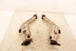 16-19 Infiniti Q50 Premium 3.0L RWD Rear Left and Right Exhaust Pipe B0802-5CB0A - Alshned Auto Parts