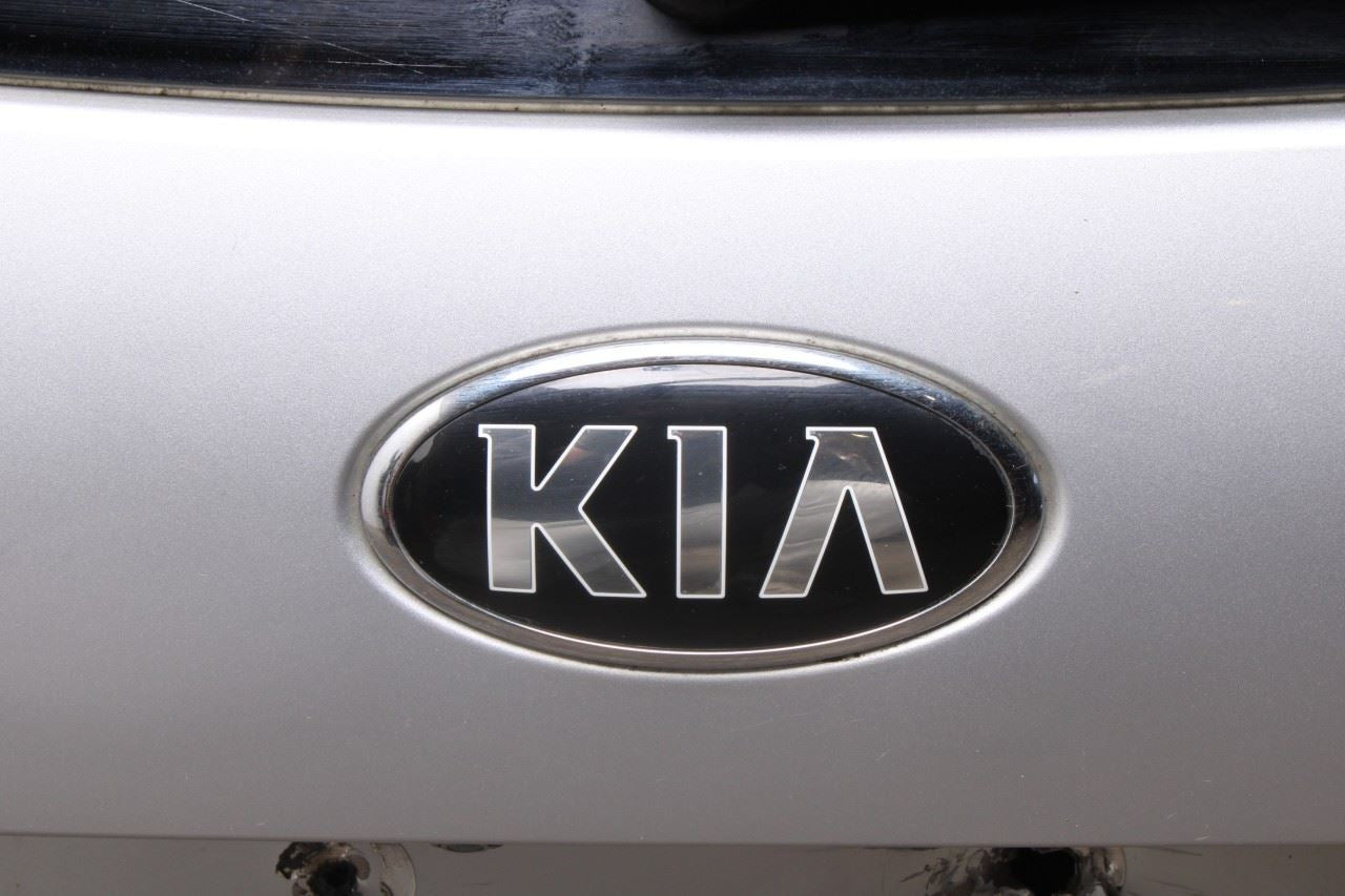 2016-20 KIA Sorento EX Rear Liftgate Tailgate Back Door Shell Panel Assy *ReaD* - Alshned Auto Parts