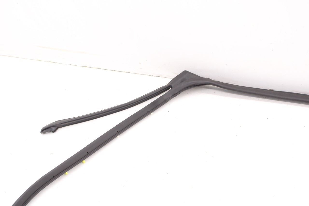 2019-2025 Infiniti QX50 LUXE Rear Left Door Weatherstrip with Belt Molding Set - Alshned Auto Parts
