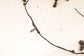 2019 Ford Ecosport SE Rear Bumper Wire Harness with Park Sensors GN15-15K868-DUD - Alshned Auto Parts