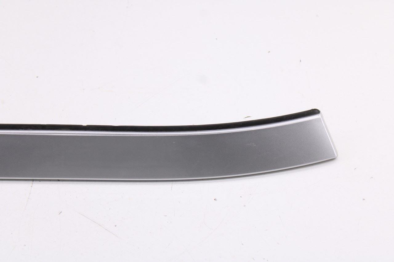 18-24 Ford Expedition Limited Front Left Exterior Roof Molding JL1B-7850463-AEW3