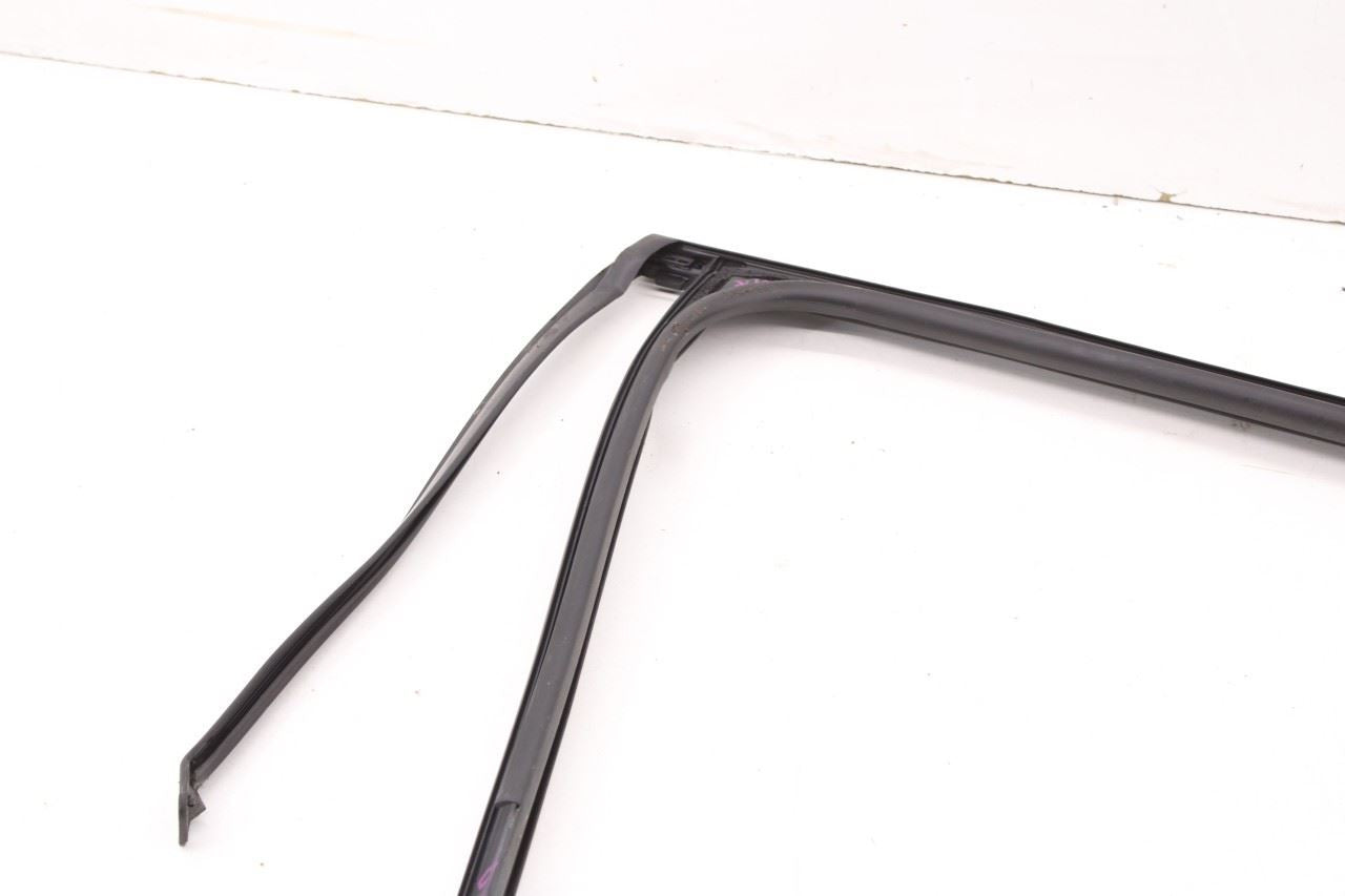 19-20 Hyundai Santa Fe SEL Rear Right Door Run Channel w/ Belt Weatherstrip Set - Alshned Auto Parts