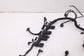 2013-2017 Audi Q5 Premium 2.0L AWD Engine Wire Harness 8K1971074AE OEM *ReaD*2