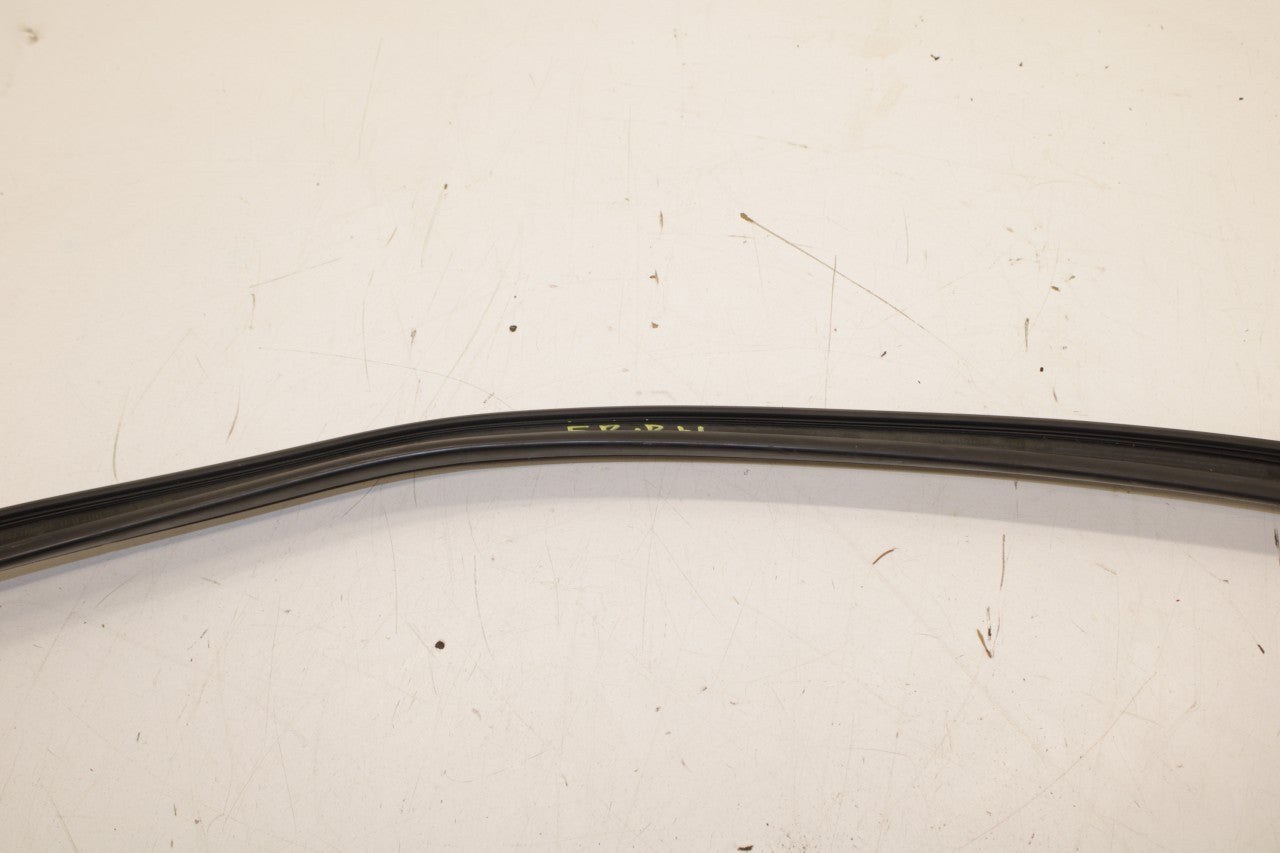 2018 Volkswagen Atlas S FR RH Door Run Channel w/ Belt Molding and Weatherstrip - Alshned Auto Parts