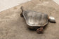 2014-20 Jeep Grand Cherokee Overland 3.6L Rear Right Exhaust Muffler 68276648AA - Alshned Auto Parts