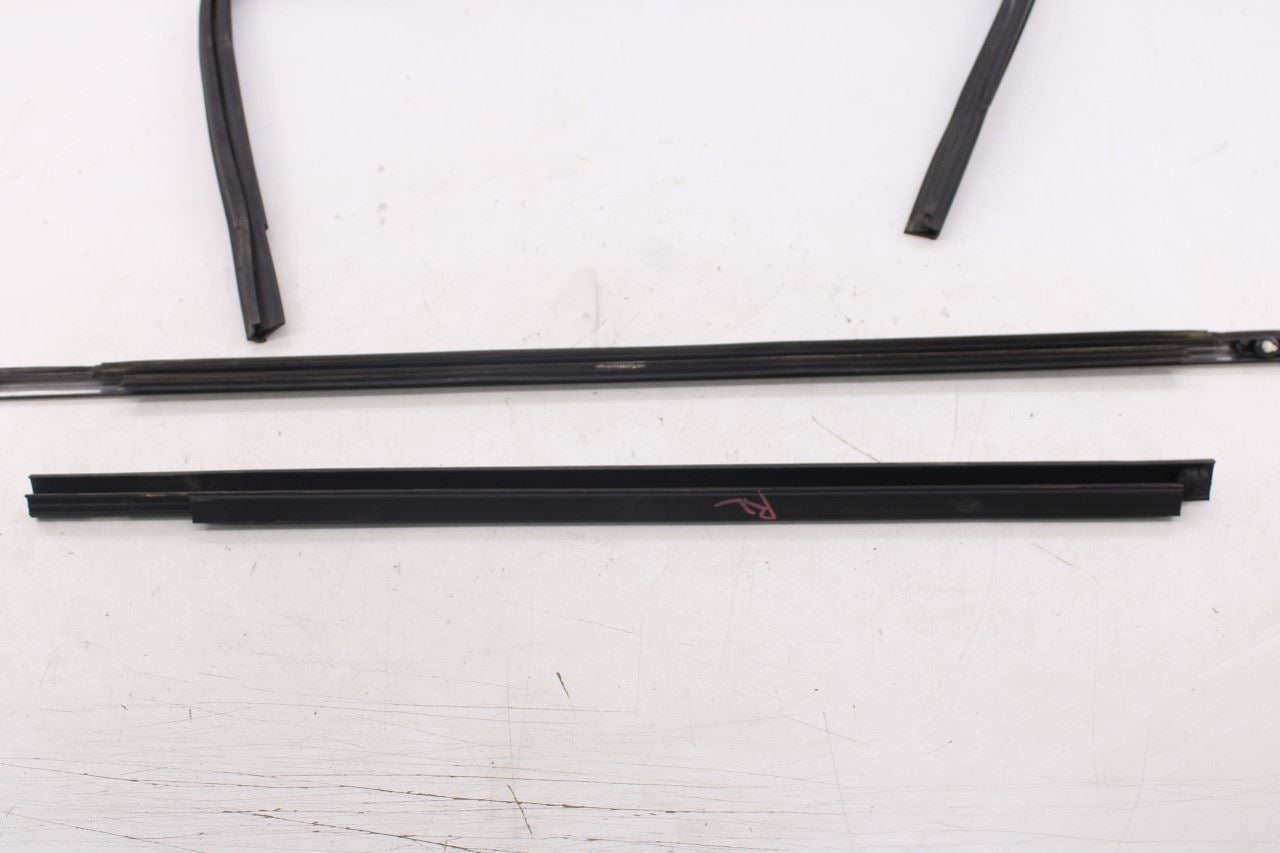 2010-20 Dodge Grand Caravan SXT Rear Left Door Window Run Channel Trim Belt Set4