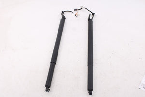 20-22 Hyundai Palisade Limited RR RH and LH Liftgate Lift Cylinder Strut *ReaD*