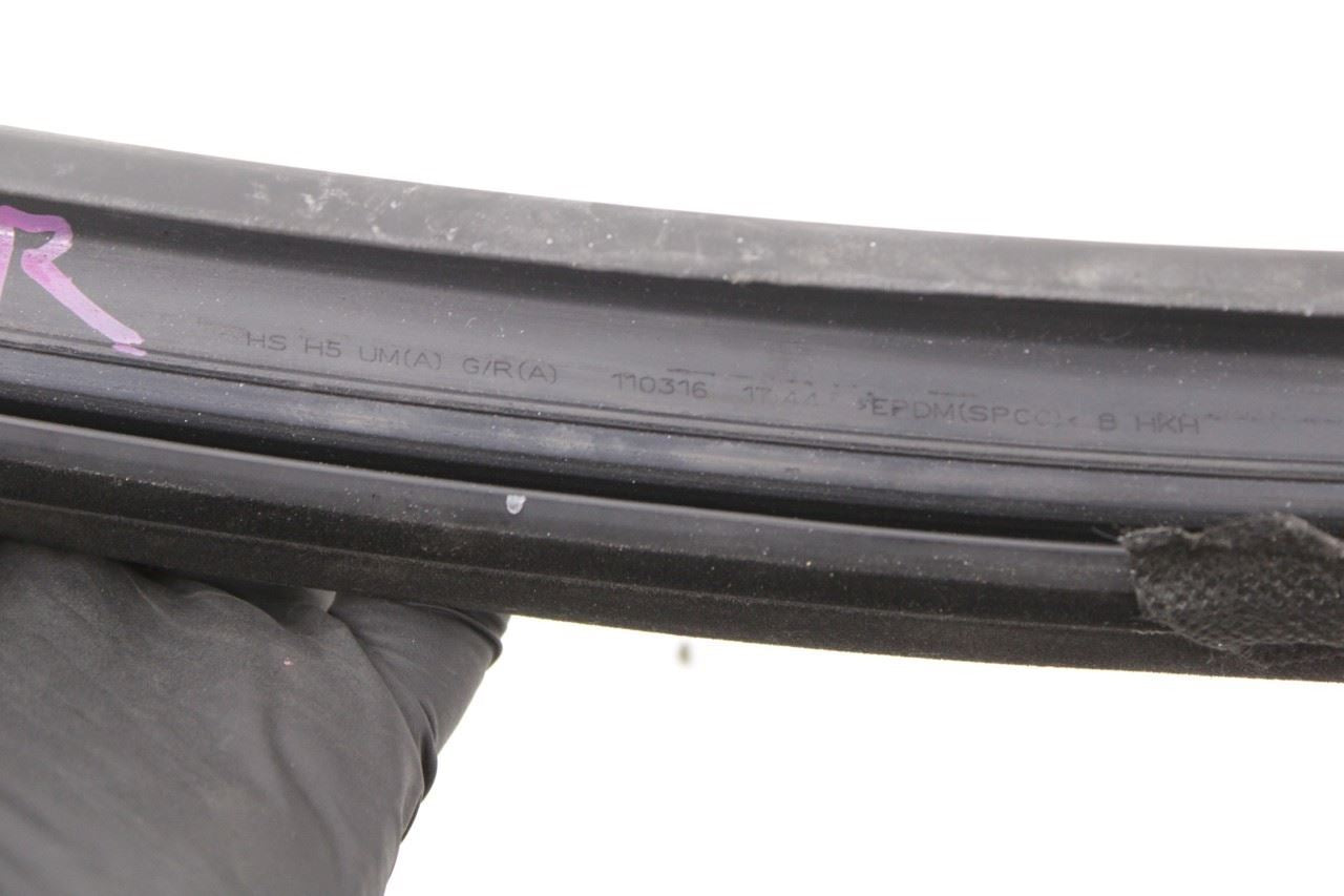 16-20 KIA Sorento EX FR RH Door Run Channel w/ Belt Outer and Inner Weatherstrip - Alshned Auto Parts