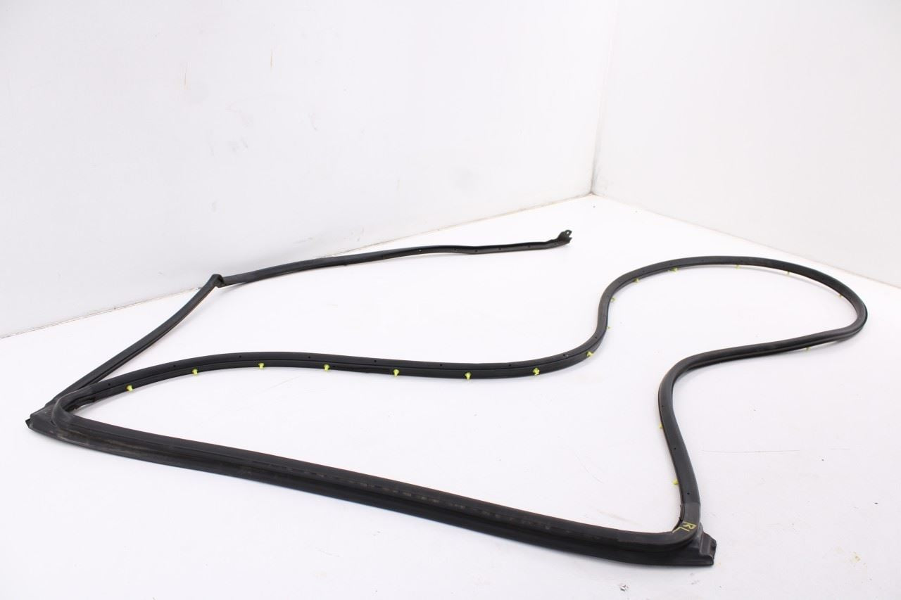 14-20 Acura MDX w/Technology Pkg Rear Left Door Run Channel w/ Weatherstrip Set - Alshned Auto Parts