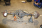 11-16 Ford F-250 Lariat 6.2L 4WD Rear Axle Differential Electronic Lock 3.73 rat - Alshned Auto Parts
