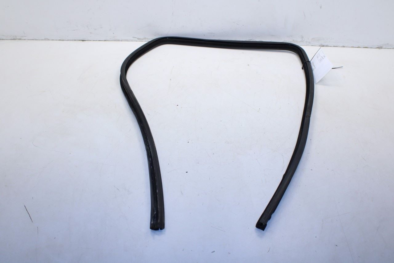99-16 Ford F250 Lariat Crew Cab Rear Right Door Run Channel w/ Weatherstrip Set - Alshned Auto Parts