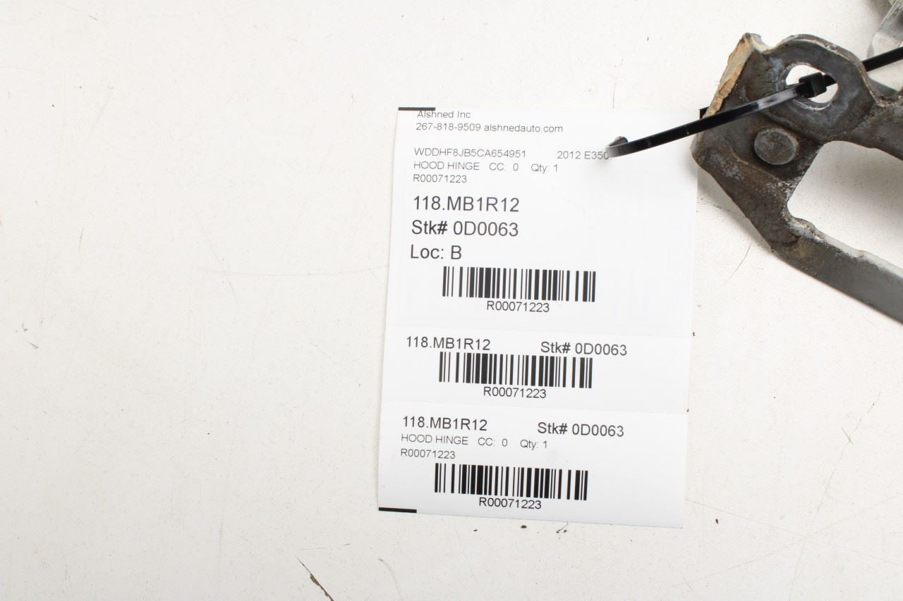 10-16 Mercedes-Benz E350 Sport 4MATIC FR RH and LH Hood Hinge Set w/ Hinge Cover - Alshned Auto Parts