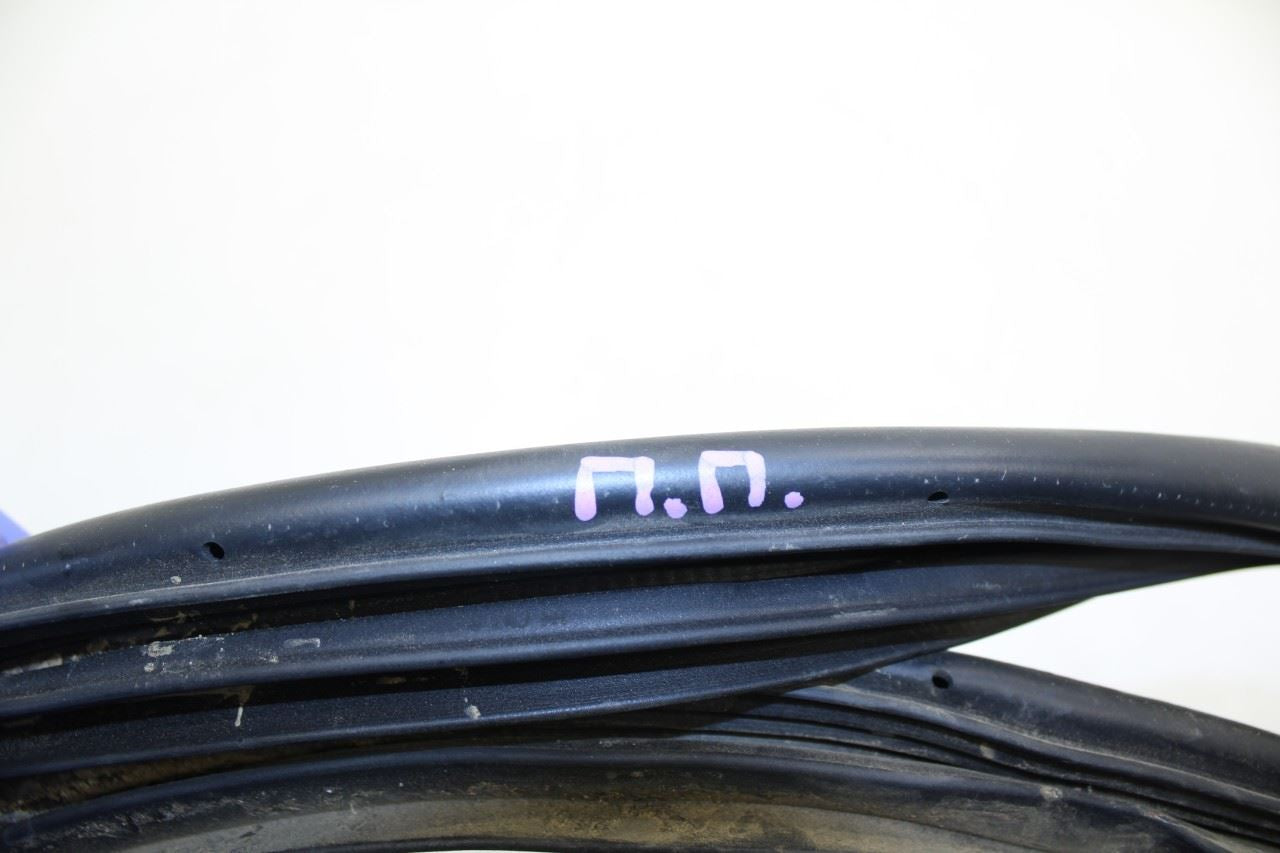2021-23 Hyundai Elantra Front Right Door Weatherstrip On Body Korea 82120-AA000 - Alshned Auto Parts