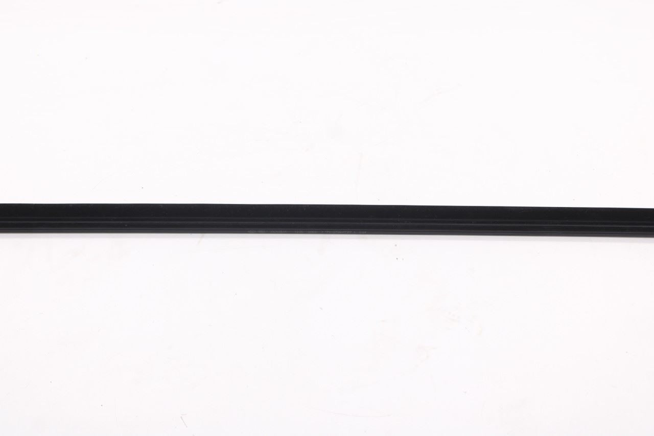 2021-2026 Hyundai Elantra SE Rear Left Door Belt Outer and Inner Weatherstrip4