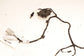 22-24 Ford Expedition MAX XLT HVAC Blend Door Actuator Set of 4 w/ Wire Harness - Alshned Auto Parts