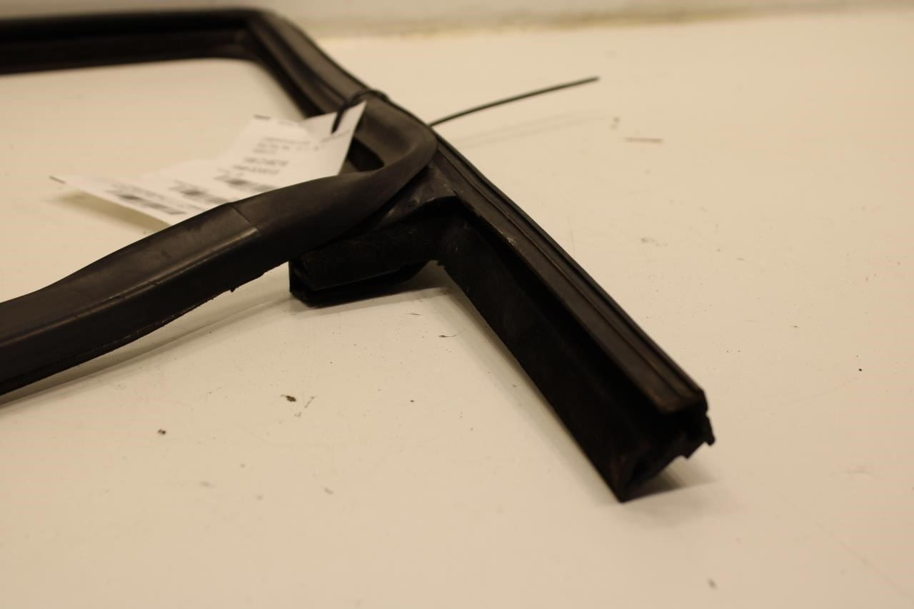 2015-2022 Ram ProMaster City Front Left Door Glass Run Weatherstrip 68259391AA - Alshned Auto Parts