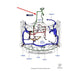 12-16 Ford F-250 Lariat 6.2L 6 Spd Auto Transmission (6R140) Wire Harness *ReaD* - Alshned Auto Parts