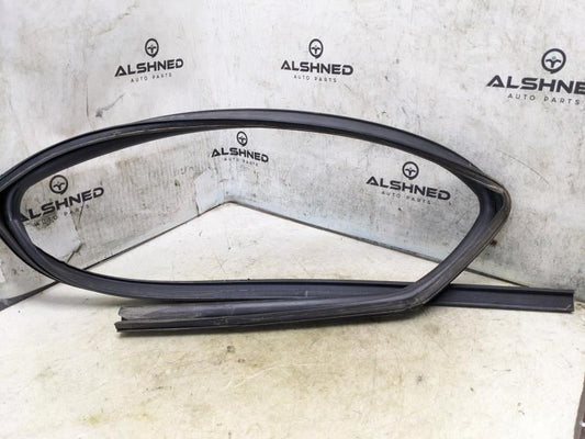 2009-2020 Dodge Journey Rear Left Door Window Glass Run Channel 5076873AD OEM - Alshned Auto Parts