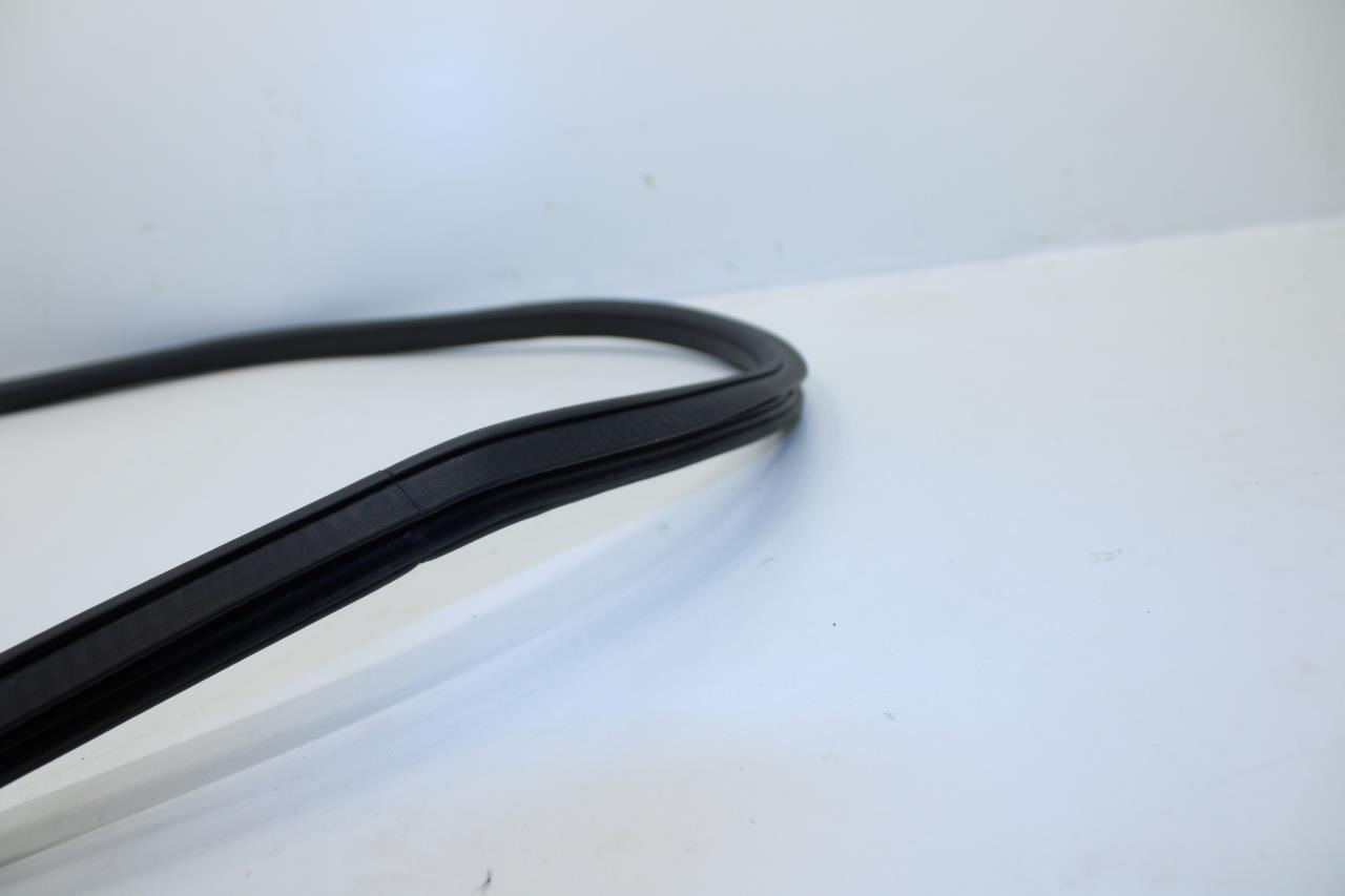 2018-2024 GMC Terrain Denali Rear Left Driver Door Weatherstrip On Body 84360723 - Alshned Auto Parts