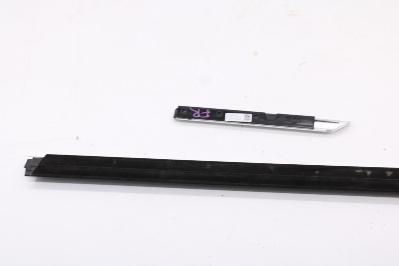 2023-2025 BMW 430i Gran Coupe xDrive Front Right Door Run Channel w/ Molding Set - Alshned Auto Parts