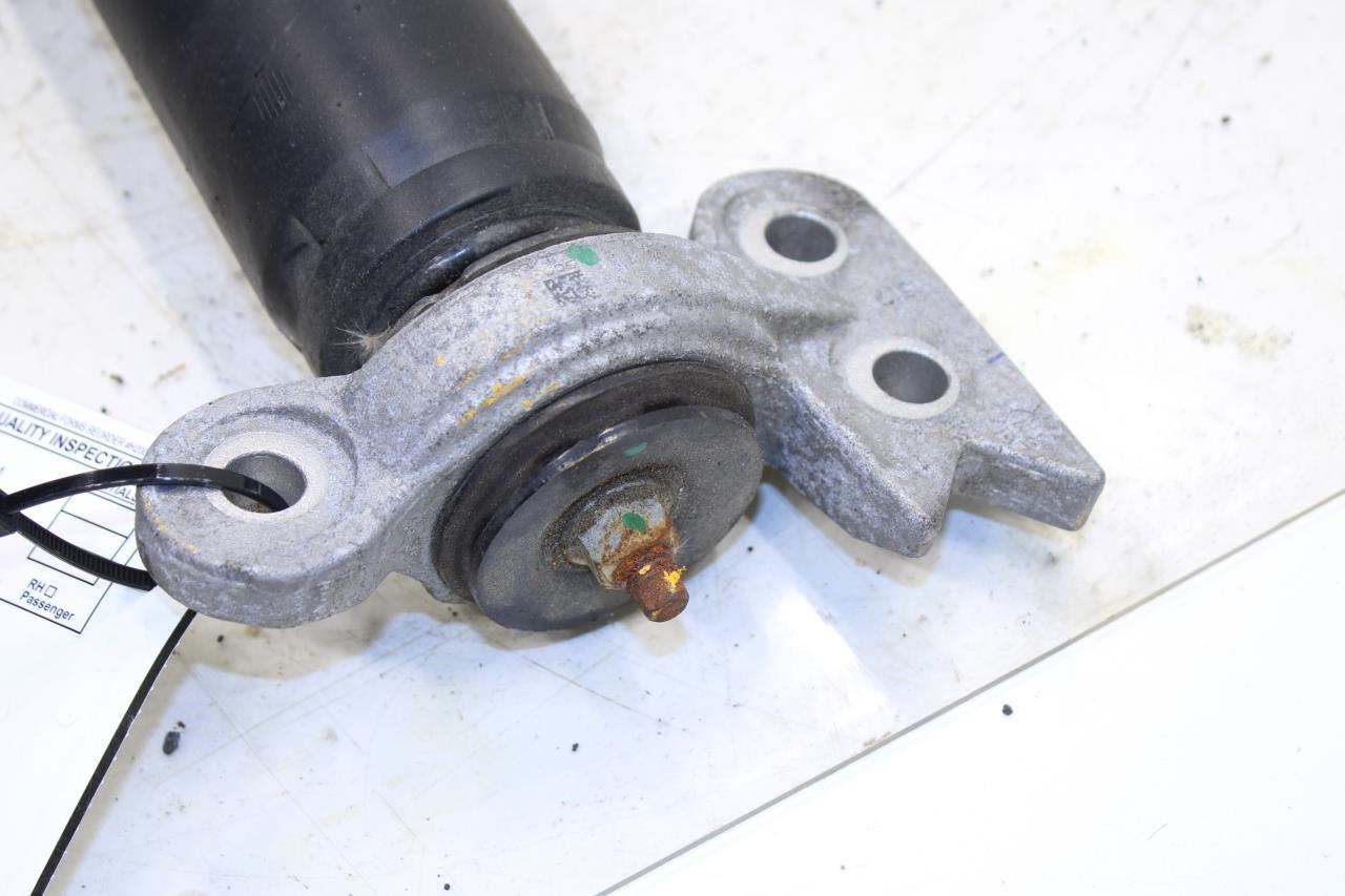 2024-2025 Cadillac XT4 Premium AWD Rear Right Shock Strut Absorber 84939426 OEM - Alshned Auto Parts