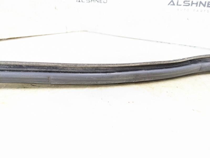 99-16 Ford F250SD Front Left Door Window Outer Belt Weatherstrip F81Z-2521453-AA - Alshned Auto Parts