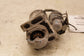 2012-2020 ISUZU NPR HD 6.0L Engine Starter Motor 8-19180-528-0 OEM - Alshned Auto Parts