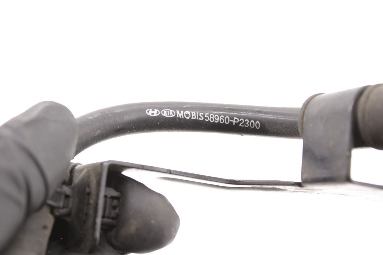 2021-23 Kia Sorento X-Line SX Prestige AWD Rear Right Side ABS Wheel Sped Sensor - Alshned Auto Parts