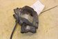 2020-2025 Ford Escape SEL Front Right Side Disc Brake Caliper JX6Z-2B120-T - Alshned Auto Parts