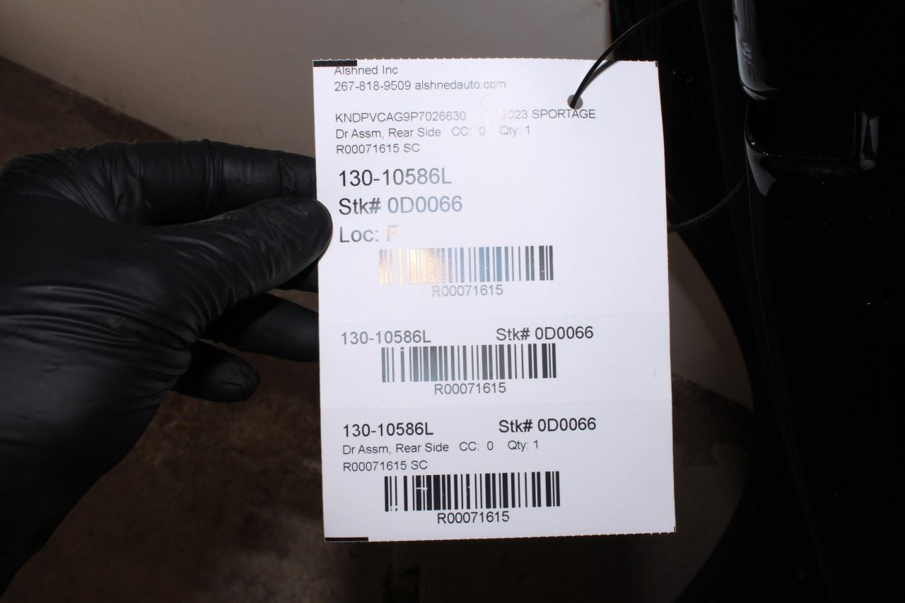 2023-2025 Kia Sportage Hybrid EX Rear Left Driver Door Shell Panel 77003-P1000 - Alshned Auto Parts