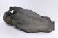 2015-17 Acura TLX Tech Rear Right Passenger Side Wheelhouse Liner Splash Shield7