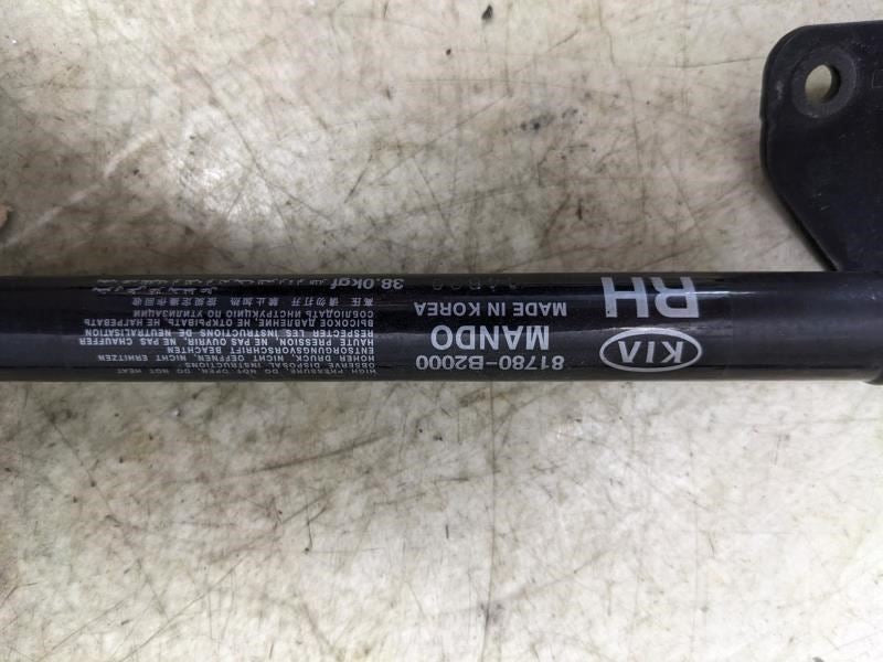 2014-2019 Kia Soul Left & Right Tailgate Lift Support Strut 81780-B2000 OEM - Alshned Auto Parts