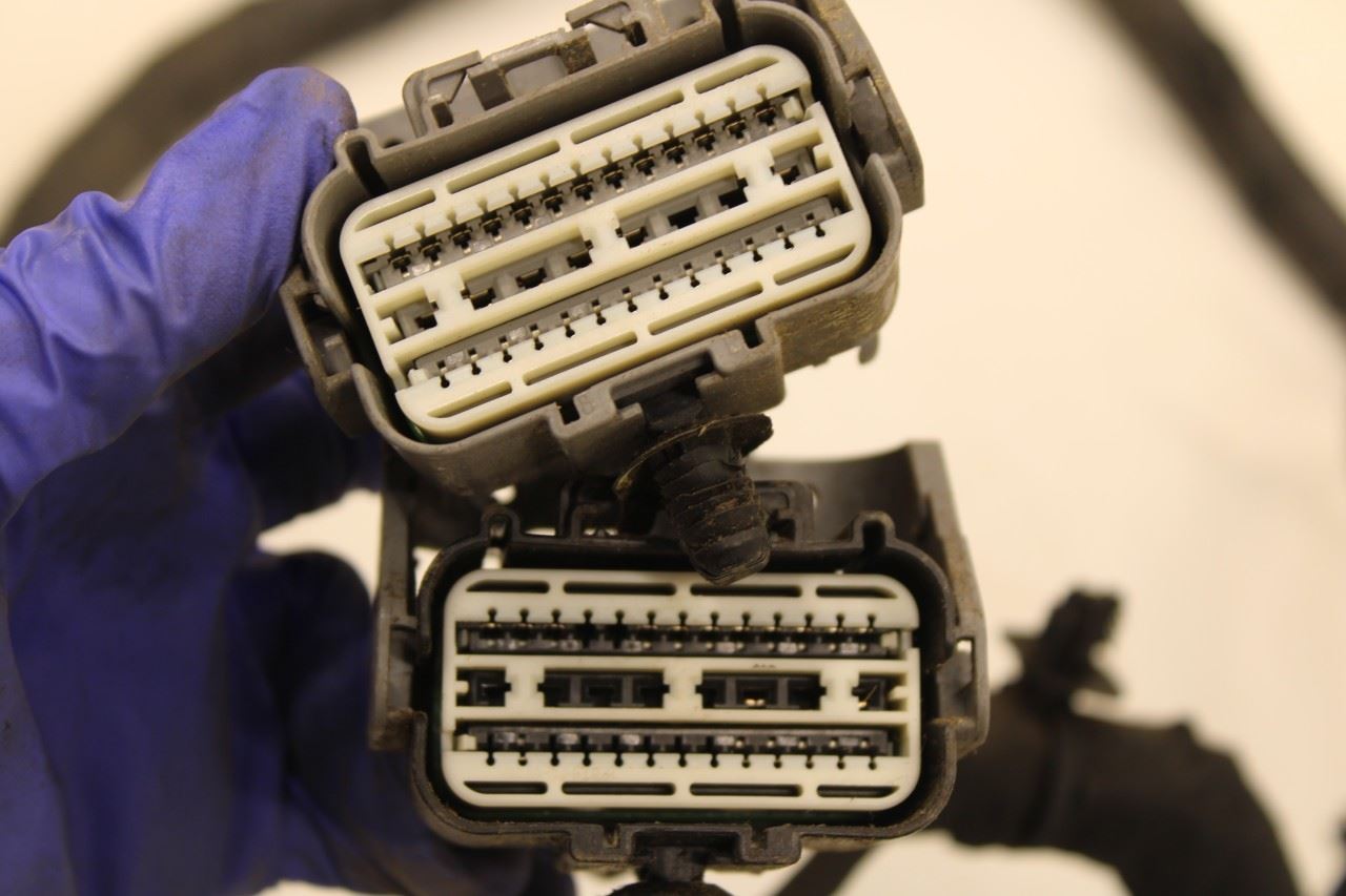 15-17 Ford F150 SuperCab Chassis Frame (Rear Lamps) Wire Harness GL3T-14405-DAA - Alshned Auto Parts