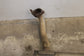 2020-2022 Kia Soul LX 2.0L FWD Rear Exhaust System Muffler 28710-K0500 OEM - Alshned Auto Parts