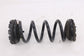 2016-20 Infiniti QX60 Rear Right Passenger and Left Driver Side Coil Spring Set7
