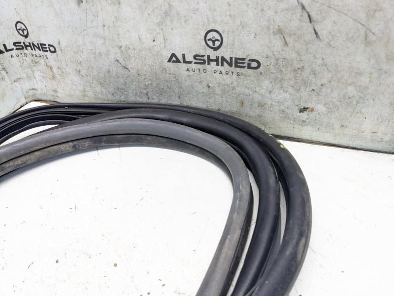 2015-2020 Toyota Sienna Rear Right Slide Door Weatherstrip 67871-08030-B1 OEM - Alshned Auto Parts