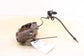 2005-2023 Toyota Tacoma Limited Front Left Side Brake Disc Caliper 47750-04092 - Alshned Auto Parts