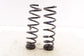 2021-24 Kia K5 GT-Line Rear Right Passenger and Left Driver Side Coil Spring Set - Alshned Auto Parts