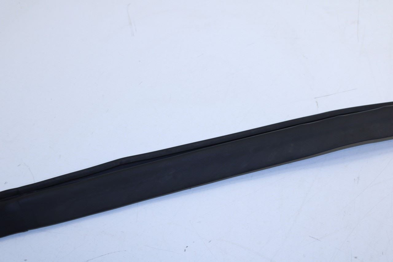 2008-2023 Dodge Challenger Front Left Door Run Channel w/ Weatherstrip On Body - Alshned Auto Parts