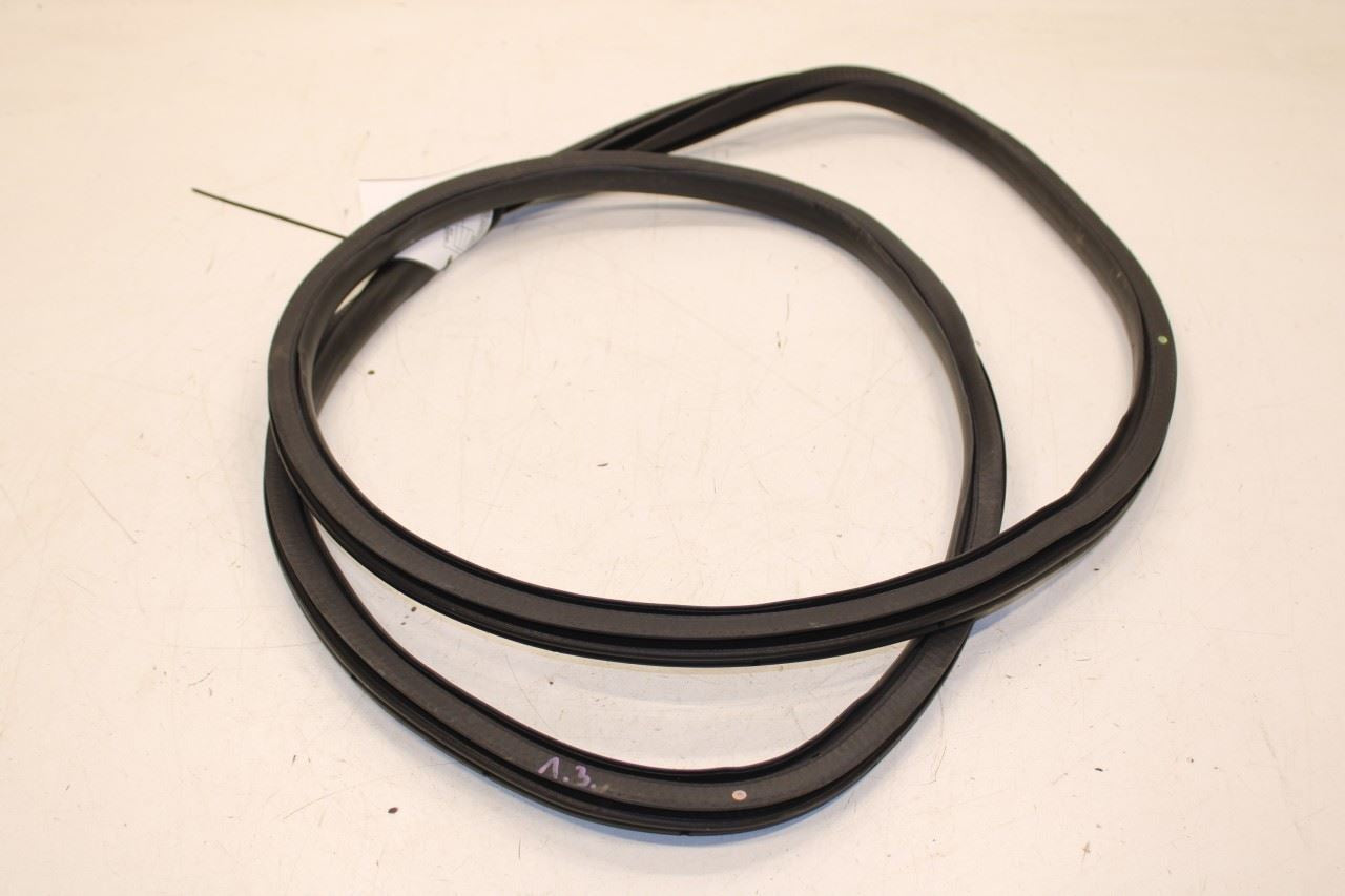 2020-23 Ford Escape SEL Rear Left Side Door Weathestrip On Body LJ6Z-78253A10-F - Alshned Auto Parts