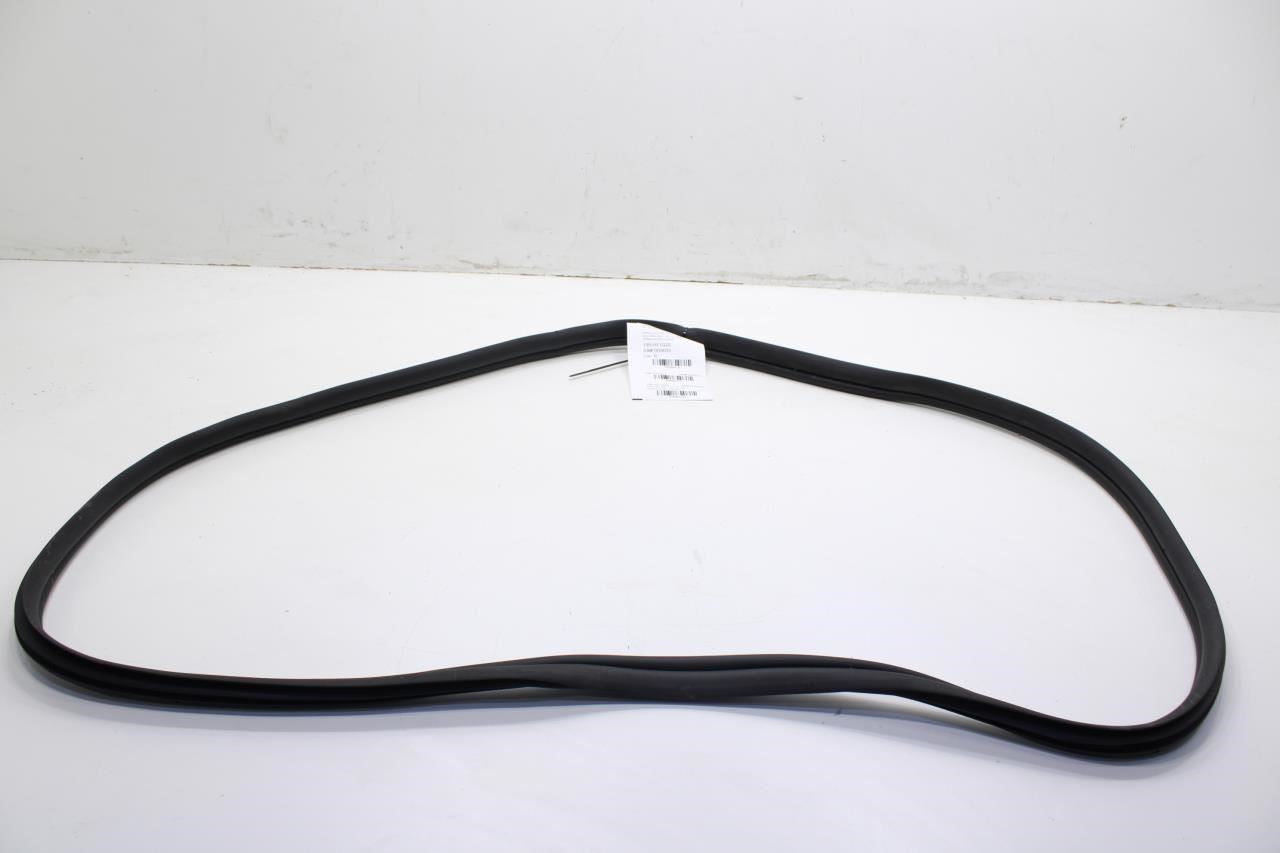 2020-2022 Hyundai Sonata SE Rear Left Door Weatherstrip On Body 83110-L0000 OEM - Alshned Auto Parts