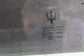2014-17 Maserati Ghibli S Q4 Front Left Driver Side Door Window Glass 670038128 - Alshned Auto Parts