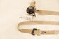 14-18 Infiniti Q50 Premium Rear Passenger Right Side 2nd Row Seat Belt Retractor - Alshned Auto Parts